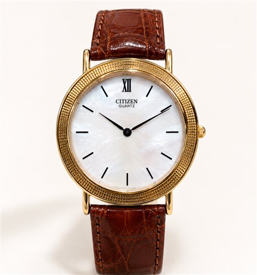Orologio Citizen Uomo in Acciaio AE1592-05C - AE1592-05C